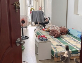 Bán nhà 1 xẹt Lê Đình Thám - 1 trệt 2 lầu - 3x16m - 4.43 tỷ