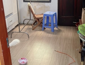 Bán nhà 1 xẹt Lê Đình Thám - 1 trệt 2 lầu - 3x16m - 4.43 tỷ