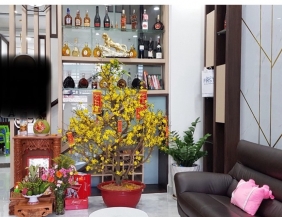 Bán nhà HXT Thoại Ngọc Hầu - 1 trệt 2 lầu st - 4x18.2m - 12.5 tỷ