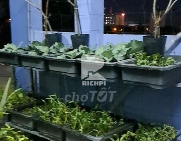 Bán nhà MT DC13 - 1 trệt 3 lầu - 4x13m - 12.2 tỷ